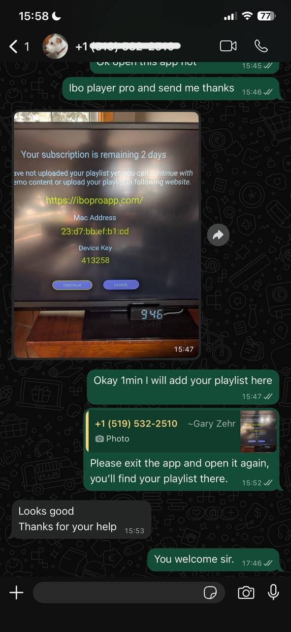 photo_5913375647210343234_y